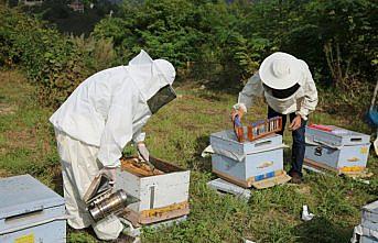 Arı üreticileri 