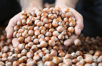 Fındık ihracatı 3 ayda 906 milyon dolar kazandırdı