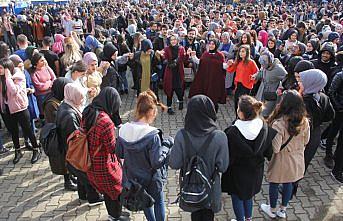 Giresun'da düzenlenen hamsi şenliğinde 500 kilogram balık dağıtıldı