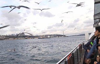 Gümüşhaneli öğrenciler İstanbul'u gezdi