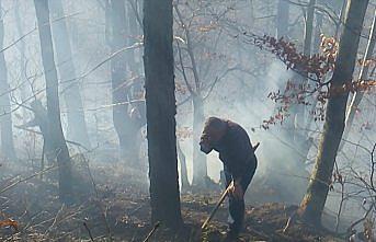 GÜNCELLEME - Düzce'de çıkan orman yangını kontrol altına alındı