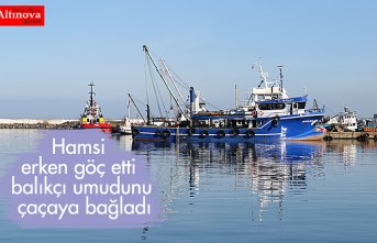 Hamsi erken göç etti balıkçı umudunu çaçaya bağladı