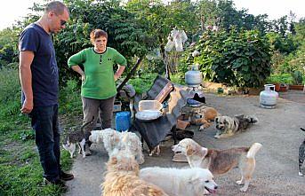 Hayatını sokak hayvanlarına adadı