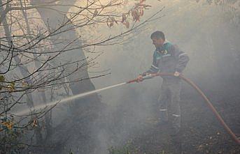 İnebolu'da orman yangını