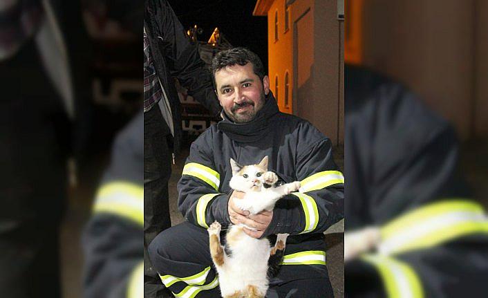 Kastamonu'da minarede mahsur kalan kediyi itfaiye kurtardı