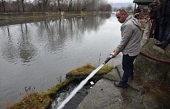 Kastamonu'daki Gökırmak'ta toplu balık ölümleri