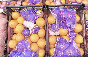 Rusya'ya en çok mandarin ihraç edildi