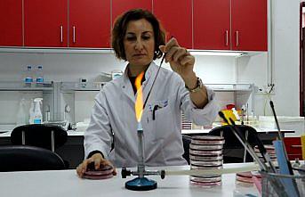 Uzmandan konserve tüketiminde 