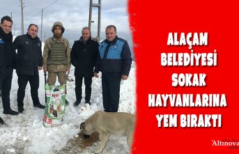 ALAÇAM BELEDİYESİ SOKAK HAYVANLARINA YEM BIRAKTI