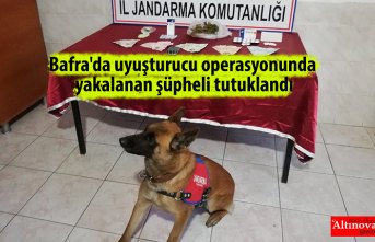 Bafra'da uyuşturucu operasyonunda yakalanan şüpheli tutuklandı