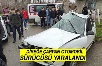 Direğe çarpan otomobilin sürücüsü yaralandı