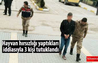 Hayvan hırsızlığı yaptıkları iddiasıyla 3 kişi tutuklandı