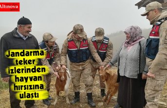 Jandarma teker izlerinden hayvan hırsızına ulaştı