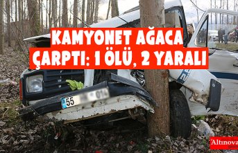 Kamyonet ağaca çarptı: 1 ölü, 2 yaralı