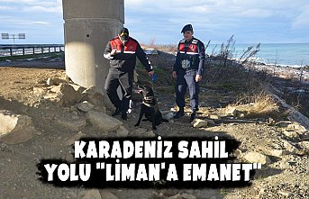 Karadeniz Sahil Yolu "Liman'a Emanet"