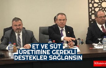 ET VE SÜT ÜRETİMİNE GEREKLİ DESTEKLER SAĞLANSIN