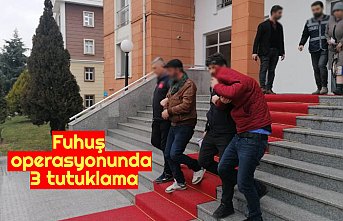 Fuhuş operasyonunda 3 tutuklama