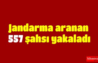 Jandarma aranan 557 şahsı yakaladı