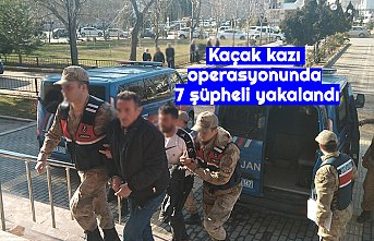 Kaçak kazı operasyonunda 7 şüpheli yakalandı