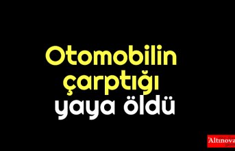 Otomobilin çarptığı yaya öldü