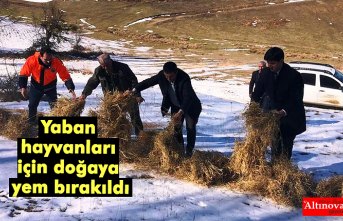 Yaban hayvanları için doğaya yem bırakıldı