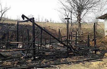 Tokat'ta çıkan yangında 6 hayvan telef oldu