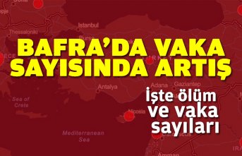 Bafra’da kaç vaka var? İşte o sorunun cevabı