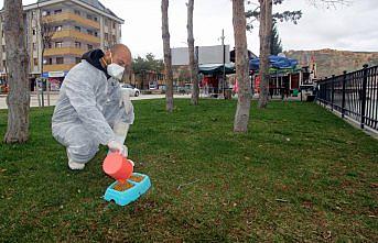 Bayburt Belediyesinden sokak hayvanlarına yem desteği
