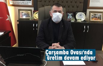 Çarşamba Ovası'nda üretim devam ediyor