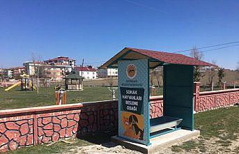 Kastamonu'da sokak hayvanları için 
