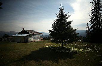 Kovid-19 salgını sürecinde doğayla iç içe yaşıyor