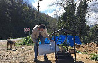 Ordu'da sokak hayvanlarına mama desteği sürüyor