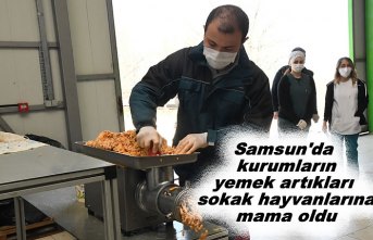 Samsun'da kurumların yemek artıkları sokak hayvanlarına mama oldu