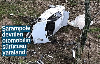 Şarampole devrilen otomobilin sürücüsü yaralandı