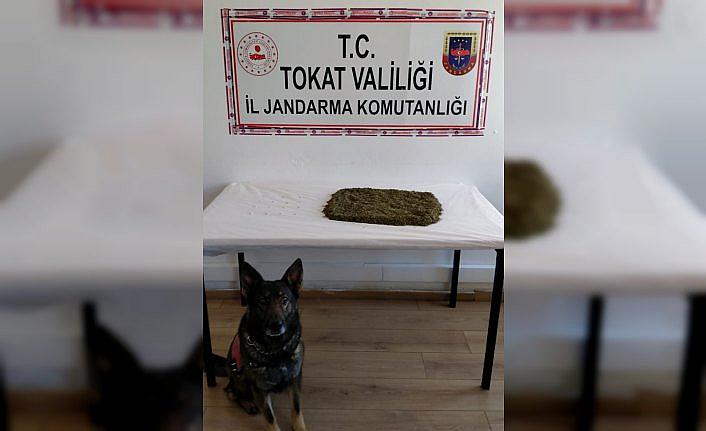Tokat'ta uyuşturucu operasyonunda gözaltına alınan 3 kişi tutuklandı