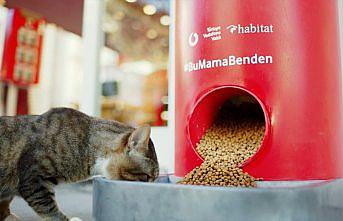 Türkiye Vodafone Vakfı’ndan “Salgında sokak hayvanlarını unutma” çağrısı