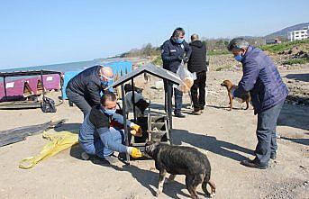 Ünye'de sokak hayvanları için besleme kapları yerleştirildi