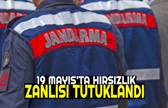 19 MAYIS'TA HIRSIZLIK ZANLISI TUTUKLANDI