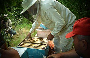 Arıcılar yeni sezona hazırlanıyor