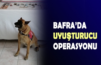 BAFRA’DA UYUŞTURUCU OPERASYONU