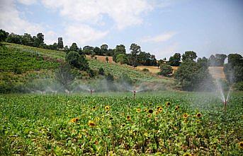 DSİ'nin sulama sezonuyla tarım arazileri suya kavuştu