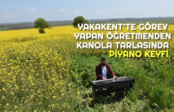 İlkbaharın sarıya boyadığı kanola tarlasında piyano keyfi