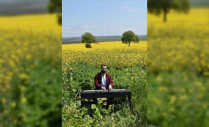 İlkbaharın sarıya boyadığı kanola tarlasında piyano keyfi