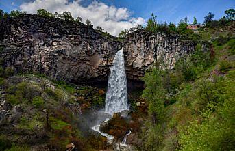 İlkbaharla canlanan Çağlayan Şelalesi, doğaseverleri ağırlayacağı günleri bekliyor