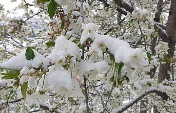 Karadeniz'in yüksek kesimlerine mayıs karı yağdı