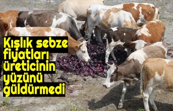 Kışlık sebze fiyatları üreticinin yüzünü güldürmedi