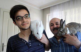 Koronavirüs günlerini tavşanları 