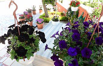 Muhtar cami avlusunu adeta botanik bahçesine dönüştürdü