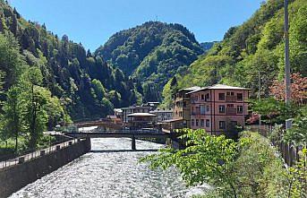 Rize'de baharla canlanan doğa görsel şölen sunuyor