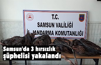 Samsun'da 3 hırsızlık şüphelisi yakalandı